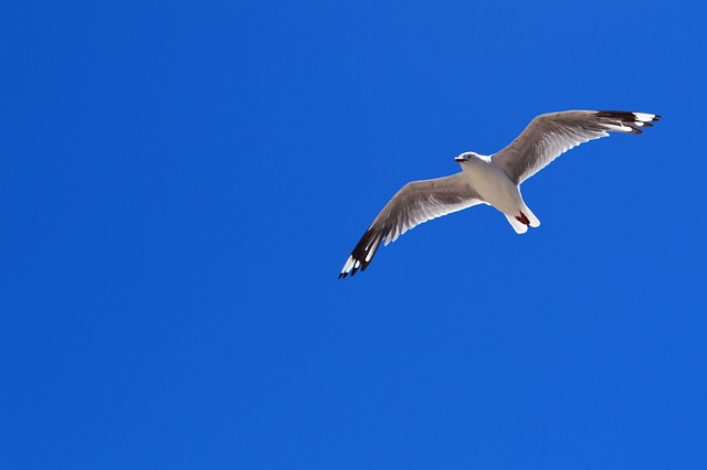 青空